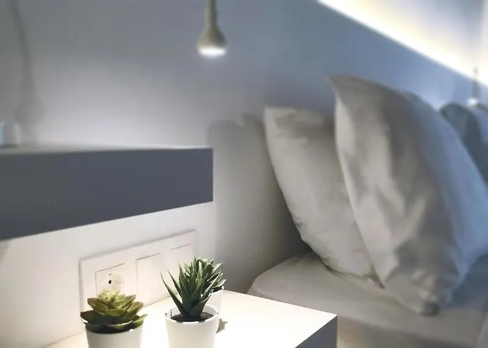 Rigas 아클라디에스